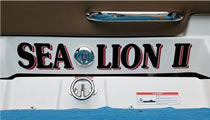 Sea Lion II